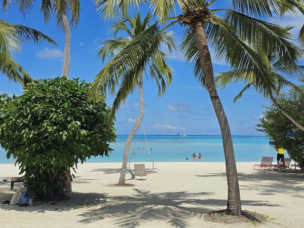 Viaggi Straordinari nel Cuore dell'Italia