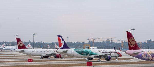 Viaggi Indimenticabili per un Turismo Sostenibile!